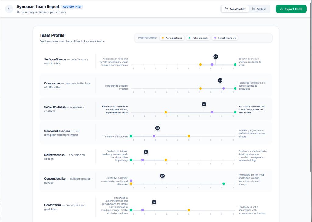 Team report Insightful Profiler™ (iP121)